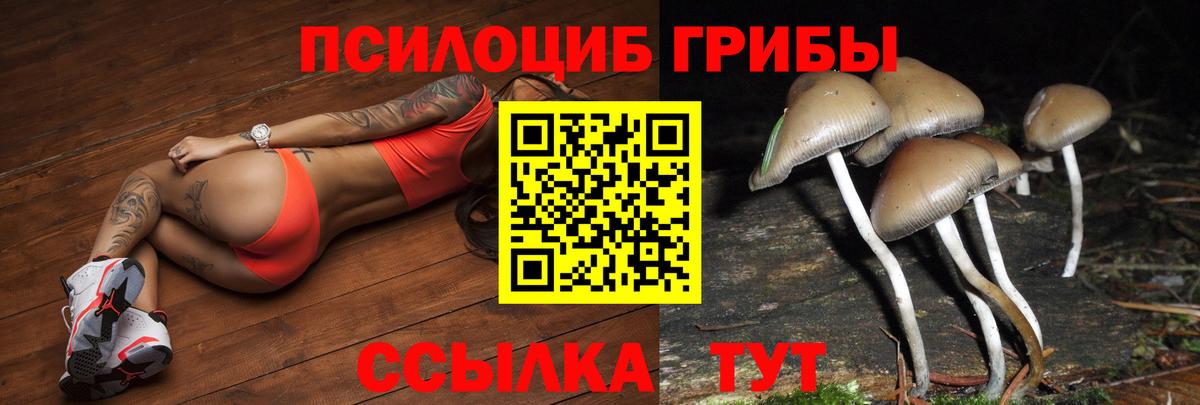 Псилоцибиновые грибы ЛСД Пенза