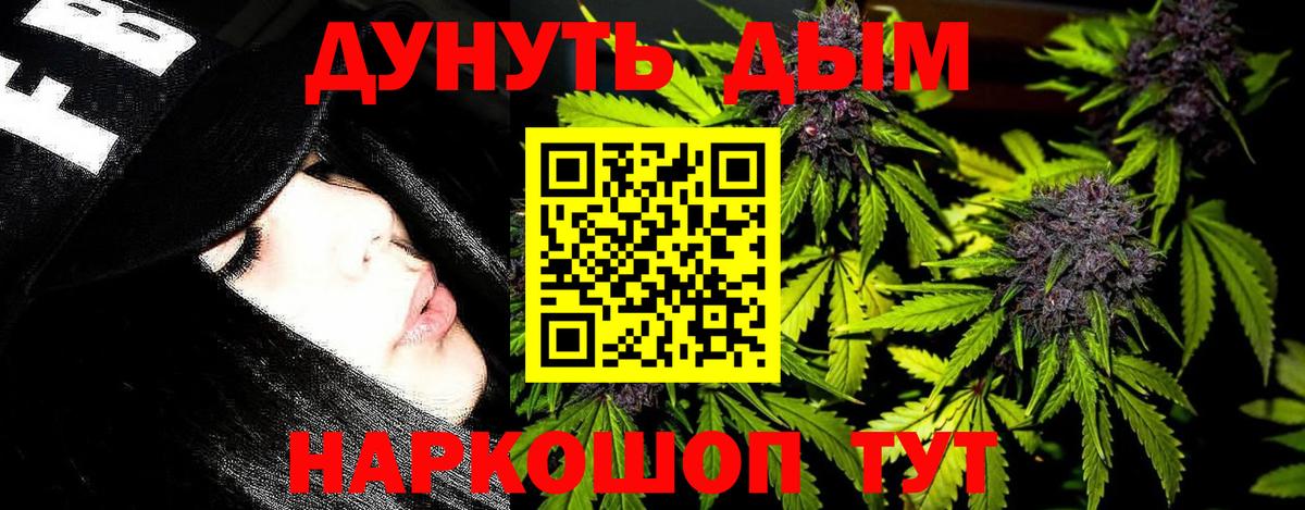 Пенза  Каннабис ГИДРОПОН  Вход с VPN  Марихуана тримм 